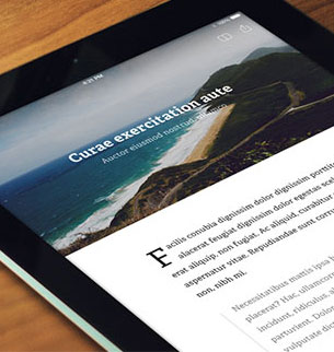 网页版电话攻击